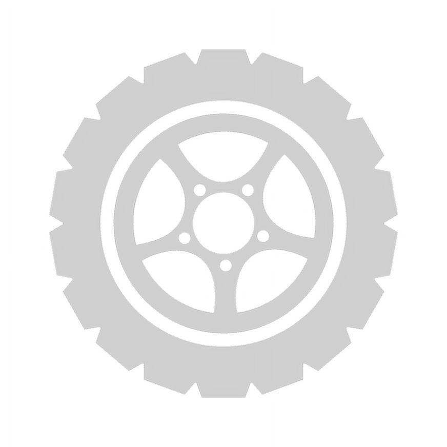 Petlas Explero A/S PT411 255/70R16 111T AS All Season Tire Fits: 2004 Ford F-150 XL, 1999-2001 Chevrolet Silverado 1500 LT