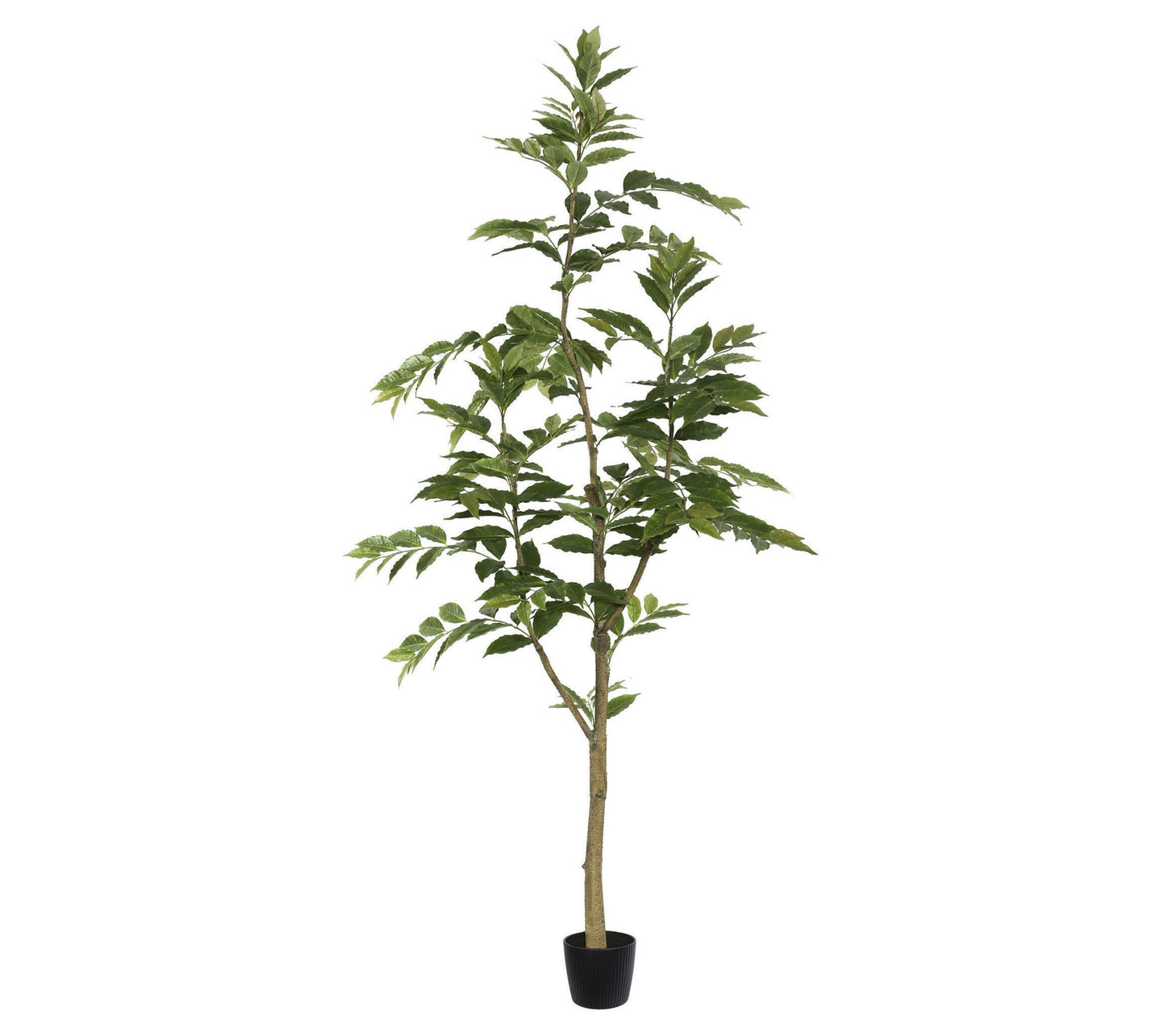 Vickerman 7' Potted Artificial Green Nandina Tree