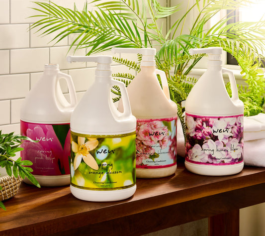 WEN by Chaz Dean 1-Gallon Seasonal Cleansing Conditioner
