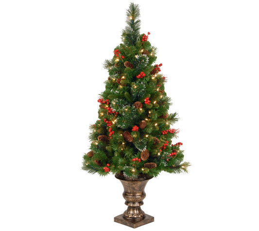 National Tree Company 4' Entrance Tree w/ ClearLights