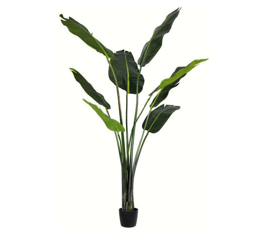 Vickerman 5' Artificial Potted Travellers Palmree
