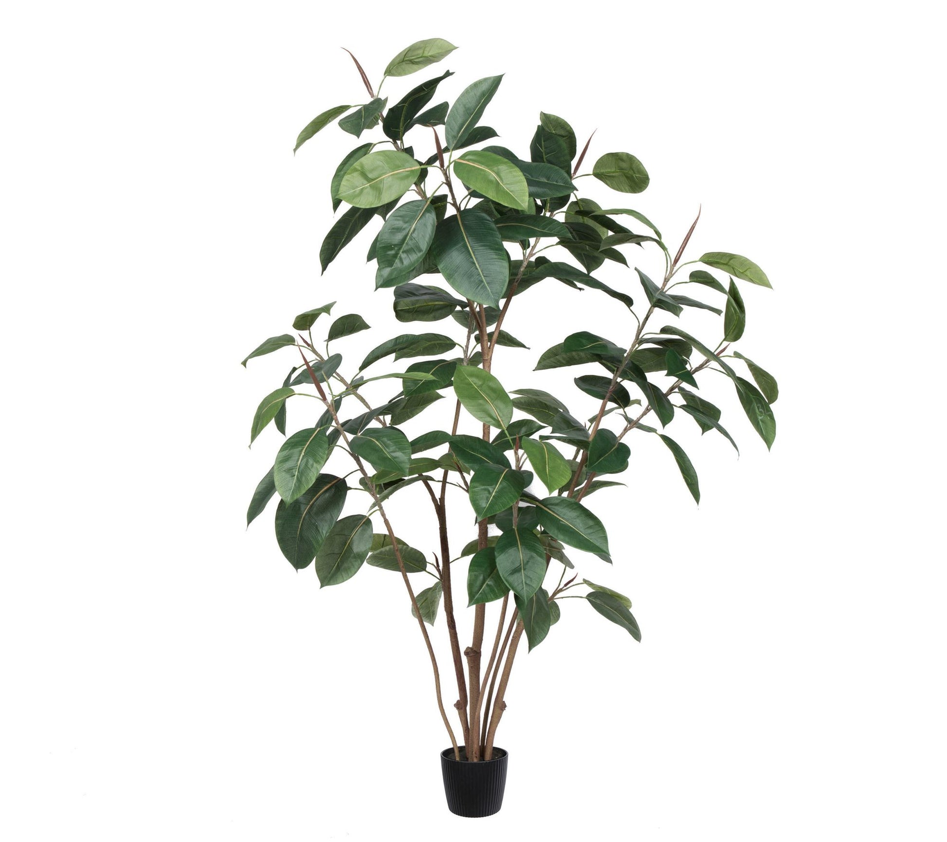 Vickerman 5' Potted Artificial Green Rubber Tree