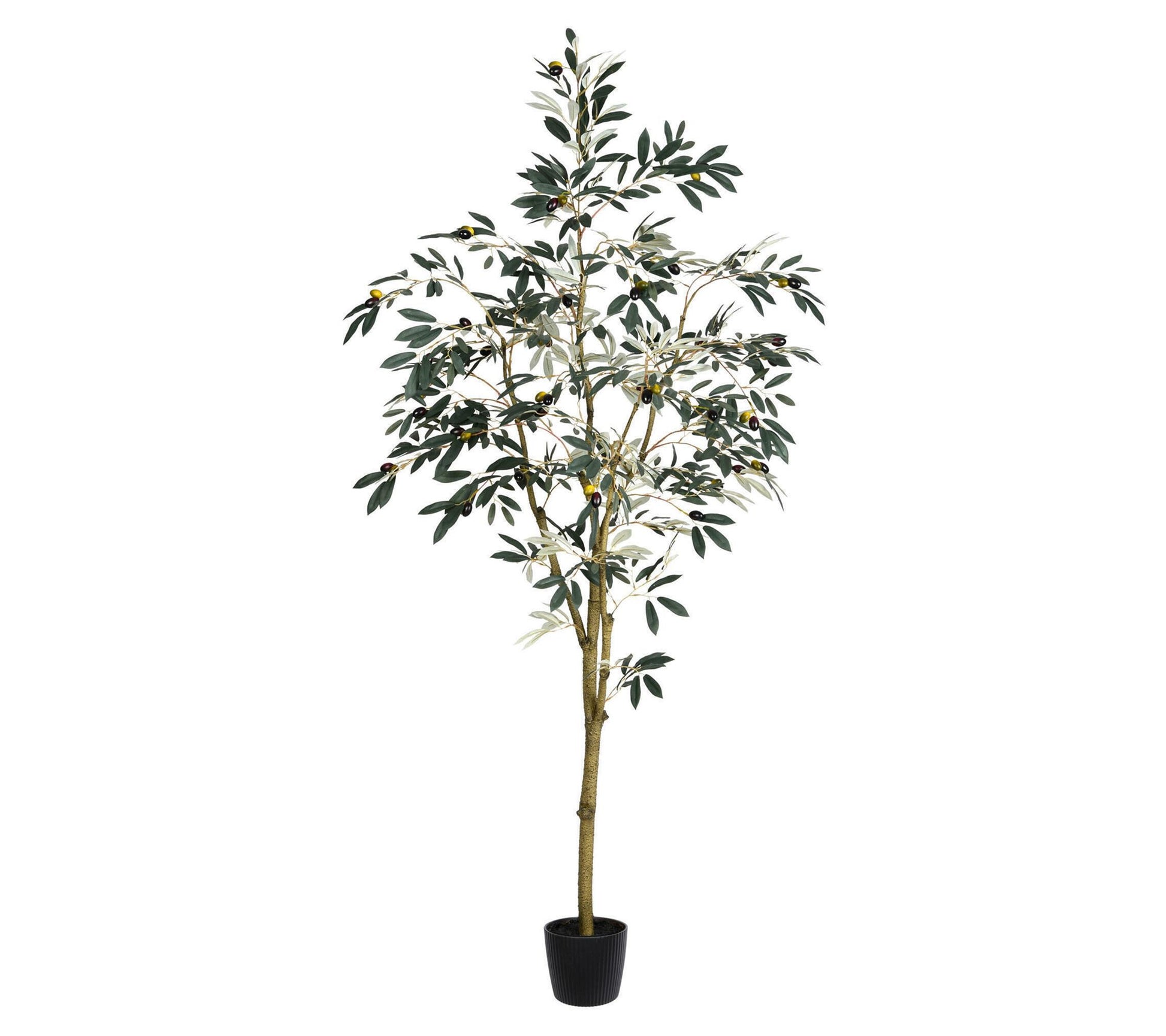 Vickerman 6' Artificial Potted Olive Tree