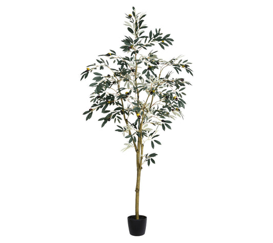 Vickerman 6' Artificial Potted Olive Tree