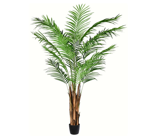 Vickerman 6' Artificial Potted Giant Areca PalmTree