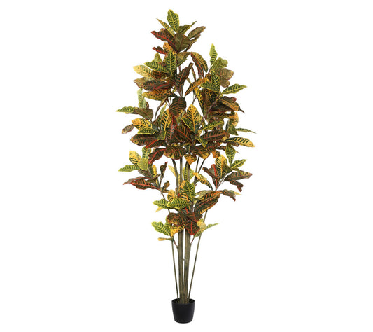 Vickerman 7' Potted Artificial Green and OrangeCroton Tree
