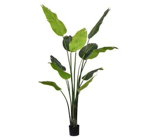 Vickerman 6' Artificial Potted Travellers Palmee