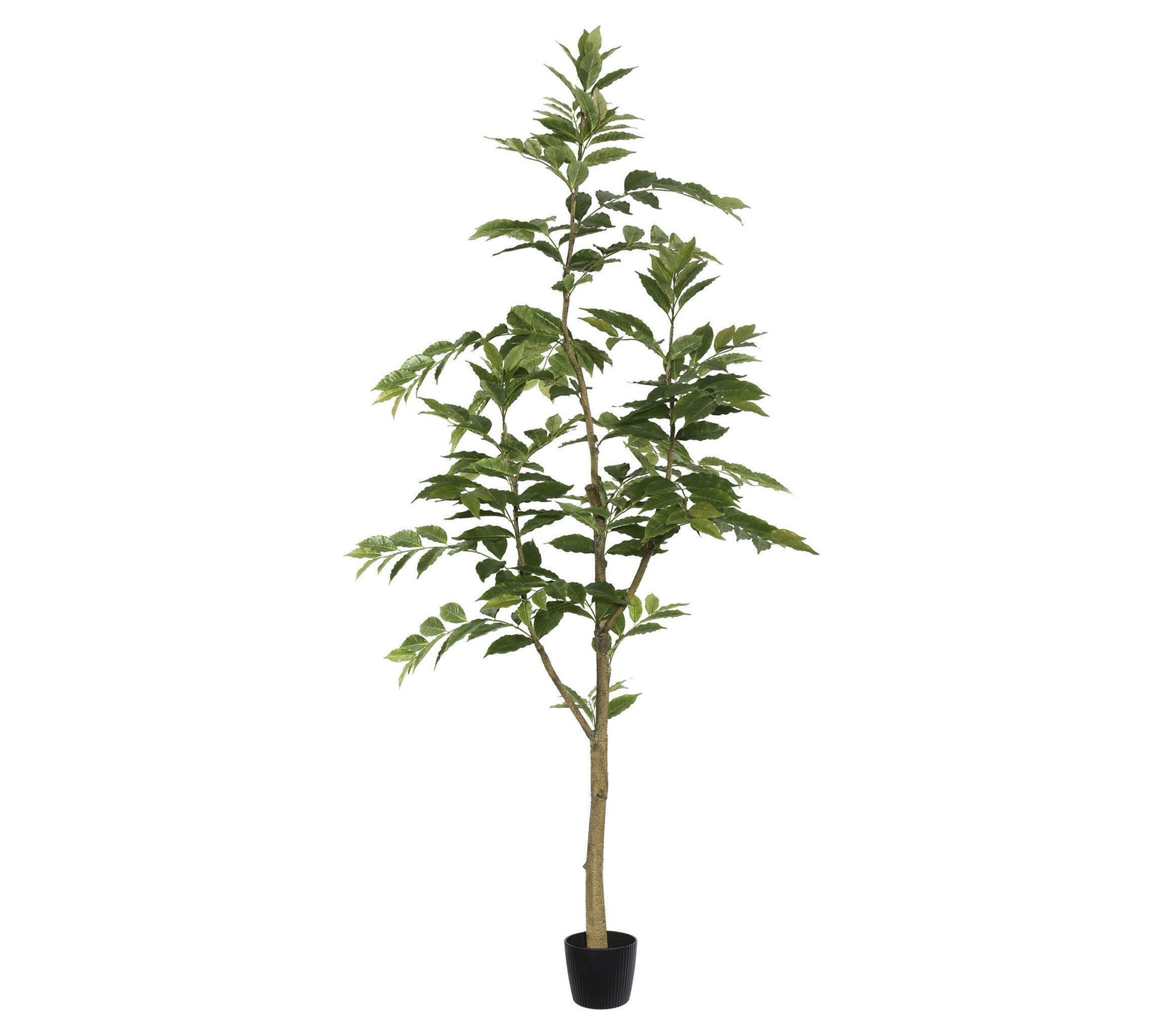 Vickerman 7' Potted Artificial Green Nandina Tree