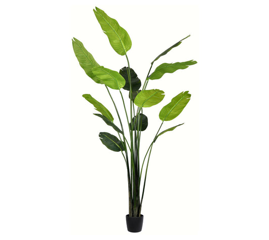 Vickerman 7' Artificial Potted Traveler's Palmee