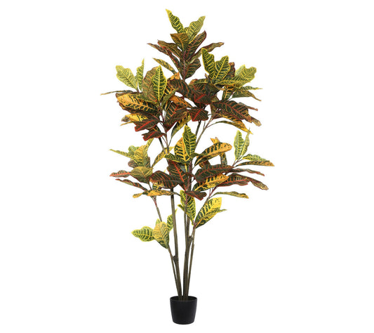 Vickerman 5' Potted Artificial Green and OrangeCroton Tree