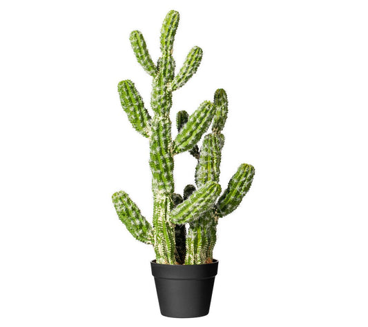 Vickerman 31" Artificial Green Potted Cactus