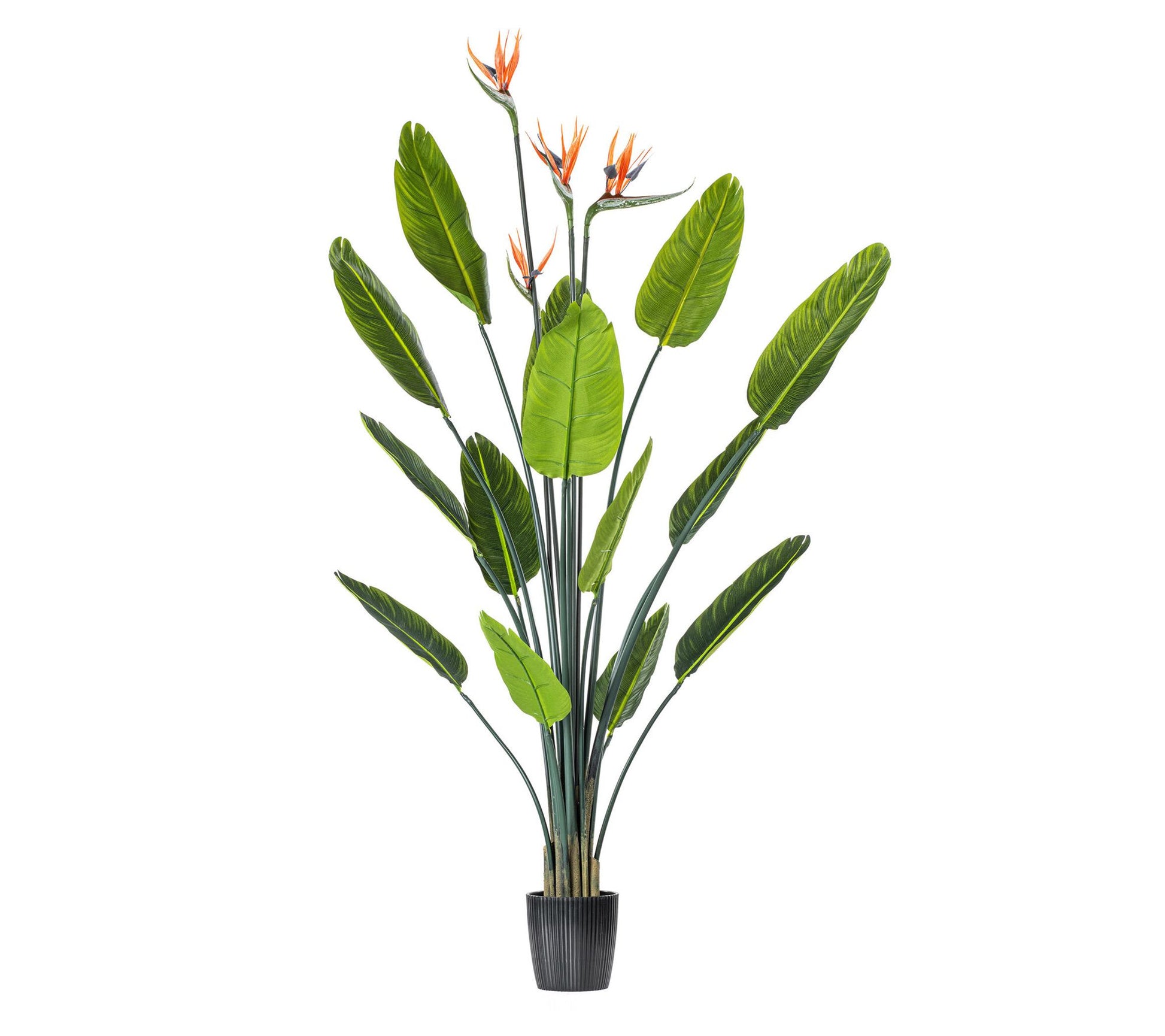 Vickerman 5' Artificial Potted Bird of ParadisePalm Tree