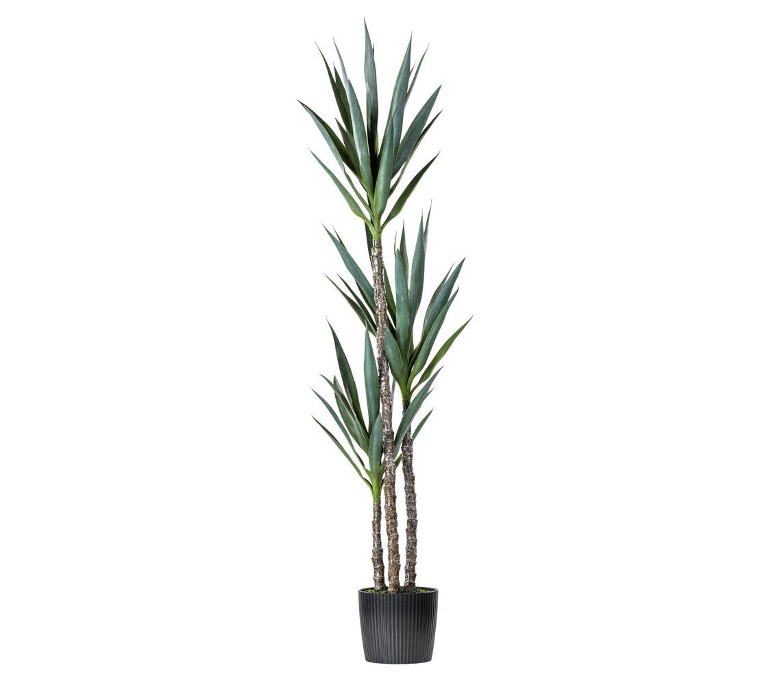 Vickerman 60" Artificial Green Yucca Tree