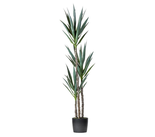 Vickerman 60" Artificial Green Yucca Tree
